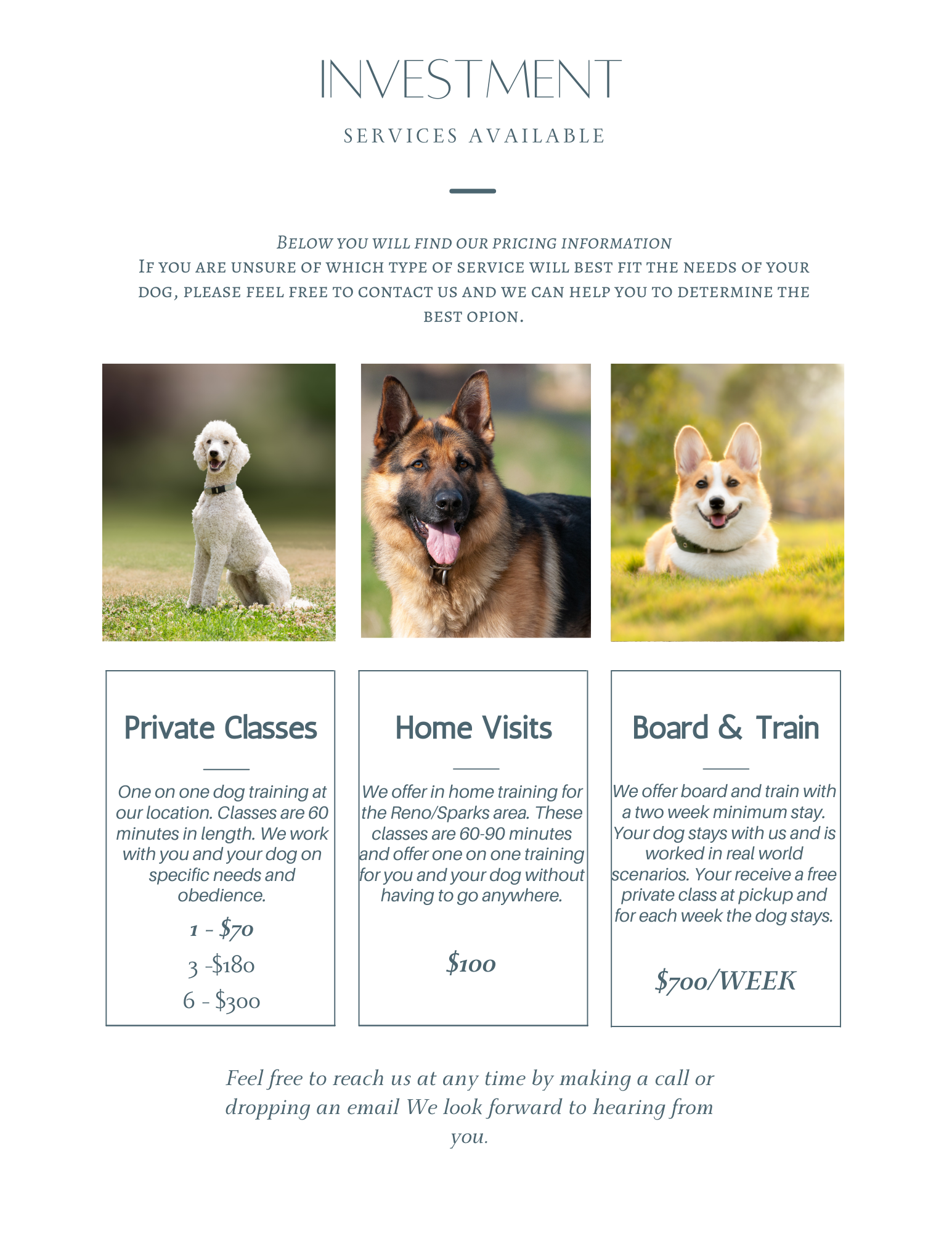 Dog boarding training clearance cost